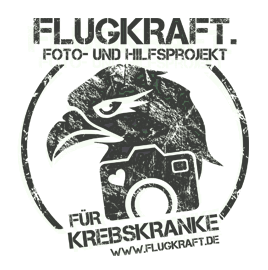 Flugkraft